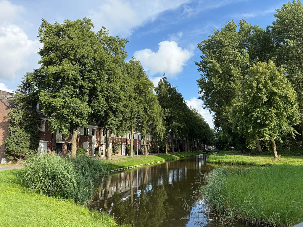 Foto 2.jpg